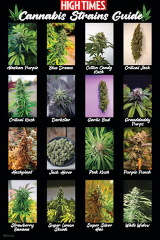 High Times Cannabis Strains Marijuana Guide Poster Cool Wall Decor Art Print Poster 24x36