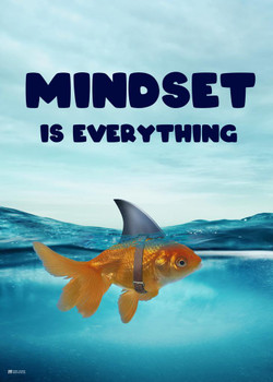 Mindset Is Everything Poster Motivational Classroom Goldfish Shark Fin Cool Wall Decor Art Print Poster 16x24