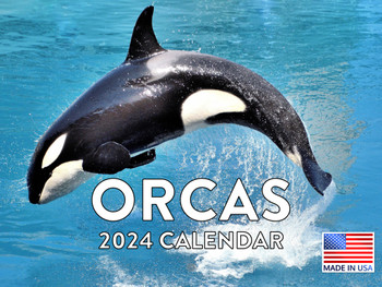 Orca Calendar 2024 Orcas Monthly Wall Calender