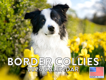 Border Collie Calendar 2024 Wall Calander Monthly 12 Month