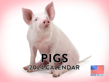Pig Calendar 2024 Monthly Wall Calender
