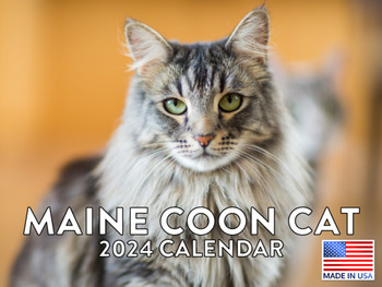 Maine Coon Cat Calendar 2024 Monthly Wall Calender