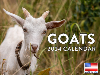 Goat Calendar 2024 Monthly Wall Calender