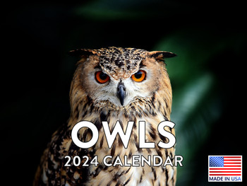 Owl Calendar 2024 Monthly Wall Calender