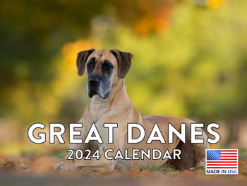 Great Dane Calendar 2024 Wall Calander Monthly 12 Month