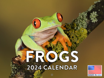 Frog Calendar 2024 Monthly Wall Calender