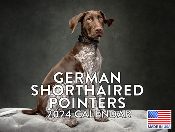 German Shorthaired Pointer Calendar 2024 Wall Monthly