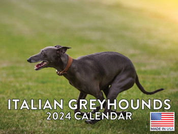 Italian Greyhound Calendar 2024 Wall Calander Monthly Dog Breed 12 Month