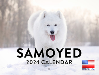 Samoyed Calendar 2024 Wall Calander Monthly 12 Month