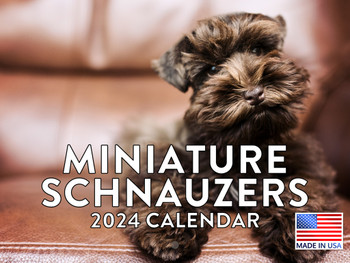 Miniature Schnauzer Calendar 2024 Wall Calander Monthly 12 Month