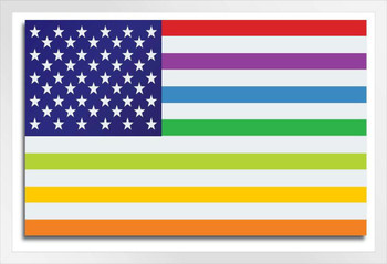 USA United States Rainbow Gay Lesbian Rights Flag White Wood Framed Poster 20x14
