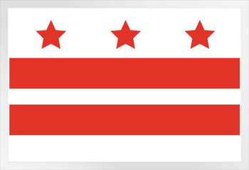 Washington DC City Flag White Wood Framed Poster 14x20