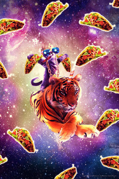 Outer Space Cat Pimp Daddy On Tiger Unicorn Flying Tacos Rainbow Random Galaxy Funny Cute Awesome Epic Parody Fantasy Thick Paper Sign Print Picture 8x12