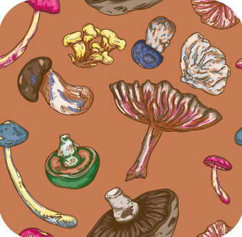 Psychedelic Forest Mushrooms Brown Premium Drink Coaster Resin With Cork Backing