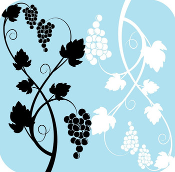 Grapes And Wine Pattern In Light Blue Black And Black V3 Premium Drink Coaster Resin With Cork Backing Grapes And Wine Pattern In Light Blue Black And Black V3 Premium Drink Coaster Resin With Cork Backing