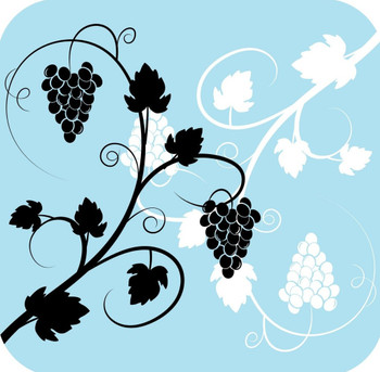 Grapes And Wine Pattern In Light Blue Black And Black V5 Premium Drink Coaster Resin With Cork Backing Grapes And Wine Pattern In Light Blue Black And Black V5 Premium Drink Coaster Resin With Cork Backing