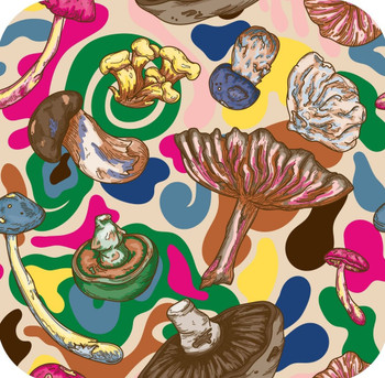 Psychedelic Forest Mushrooms With Brightly Colored Hippie Swirls Sand Premium Drink Coaster Resin With Cork Backing Psychedelic Forest Mushrooms With Brightly Colored Hippie Swirls Sand Premium Drink Coaster Resin With Cork Backing