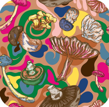 Psychedelic Forest Mushrooms With Brightly Colored Hippie Swirls Light Brown Premium Drink Coaster Resin With Cork Backing Psychedelic Forest Mushrooms With Brightly Colored Hippie Swirls Light Brown Premium Drink Coaster Resin With Cork Backing