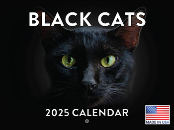 Black Cat Calendar 2025 Black Cats Monthly Wall Calender 12 Month