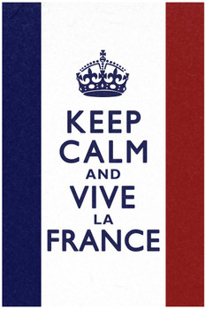 Keep Calm and Vive La France Flag Cool Wall Decor Art Print Poster 24x36