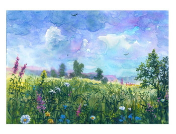SET OF 3 - Wildflower Summer Meadow Impressionist Style Painting Box of 10 Blank Note Cards 4x5