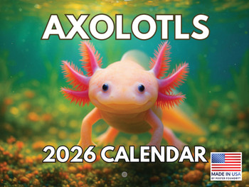 Axolotl Calendar 2026 Wall 12 Month Axolotl Gifts For Axolotl Lovers Monthly Calender| American Made In The USA