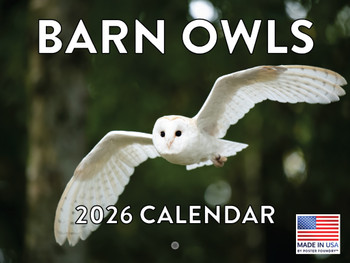 Barn Owl Calendar 2026 Wall Monthly Barn Owls Gifts For Barn Owl Lovers Women Men | American Made In The USA