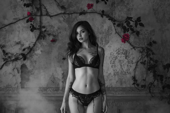 Dark Desires Tattooed Woman with Red Roses Wall Art Print Poster 12x18