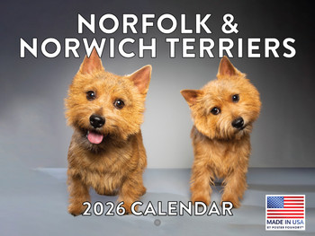 Norfolk Norwich Terrier Calendar 2026 Monthly Wall Calender 12 Month | American Made In The USA