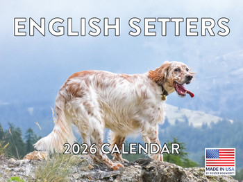 English Setter Calendar 2026 Monthly Wall Calender 12 Month | American Made In The USA