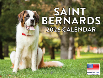 Saint Bernard Calendar 2026 Monthly Wall Calender 12 Month | American Made In The USA