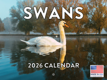 Swan Calendar 2026 Wall Monthly Swans Gifts For Swan Lovers Women Men | American Made In The USA