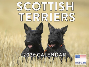 Scottish Terrier Calendar 2026 Scottie Monthly Wall Calender 12 Month | American Made In The USA