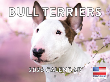 Bull Terrier Calendar 2026 Monthly Wall Calender 12 Month | American Made In The USA