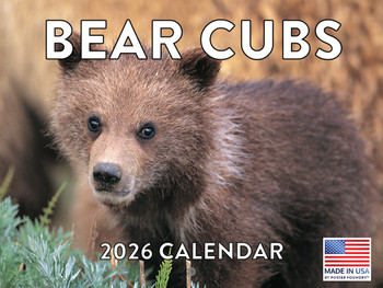 Baby Bear Cubs Calendar 2026 Monthly Wall Calender 12 Month | American Made In The USA