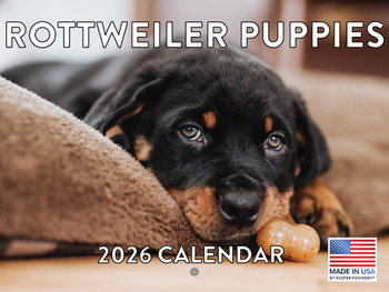 Rottweiler Puppy Calendar 2026 Wall 12 Month Monthly Rottie Puppies Rottweilers Gifts For Rottweiler Lovers Women Men Mom Dad | American Made In The USA