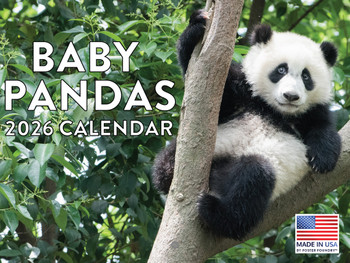 Baby Panda Calendar 2026 Monthly Wall Calender 12 Month | American Made In The USA