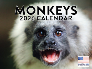 Monkey Calendar 2026 Monthly Wall Calender 12 Month | American Made In The USA