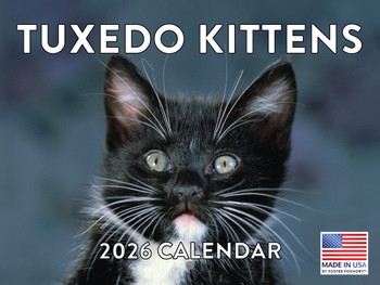 Tuxedo Kitten Calendar 2026 Monthly Wall Calender 12 Month | American Made In The USA