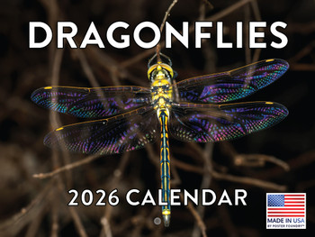 Dragonfly Calendar 2026 Monthly Wall Calender 12 Month | American Made In The USA