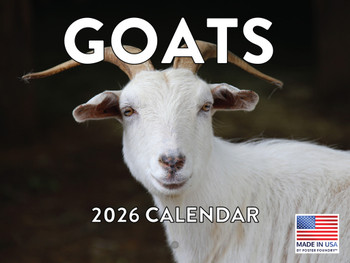 Goat Calendar 2026 Monthly Wall Calender 12 Month | American Made In The USA