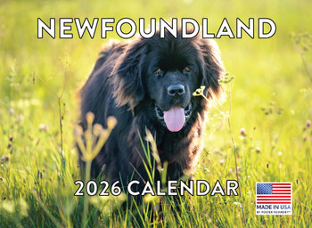 Newfoundland Calendar 2026 Newfie Monthly Wall Calender 12 Month | American Made In The USA