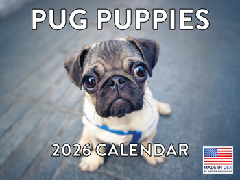 Pug Calendar 2026 Wall Puppies Monthly Pugs Gifts For Pug Lovers For Women Men Children  | American Made In The USA