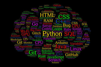 Computer Science Classroom Word Cloud Brain Shaped Programming Wall Art Print Poster 12x18