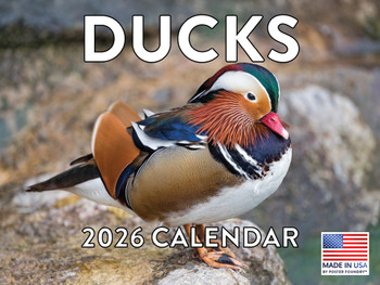 Duck Calendar 2026 Ducks Monthly Wall Calender 12 Month | American Made In The USA