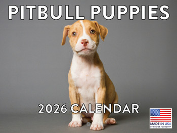 Pitbull Puppy Calendar 2026 Pit Bull Monthly Wall Calender 12 Month | American Made In The USA