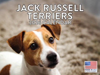 Jack Russell Calendar 2026 Wall 12 Month Monthly Jack Russells Gifts For Jack Russell Lovers Women Men Mom Dad | American Made In The USA
