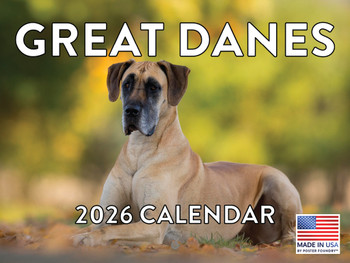 Great Dane Calendar 2026 Monthly Wall Calender 12 Month | American Made In The USA