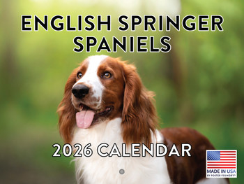 English Springer Spaniel Calendar 2026 Monthly Wall Calender 12 Month | American Made In The USA