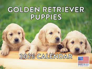 Golden Retriever Puppy Calendar 2026 Monthly Wall Calender 12 Month | American Made In The USA